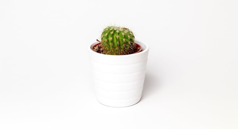 Repurposed containers